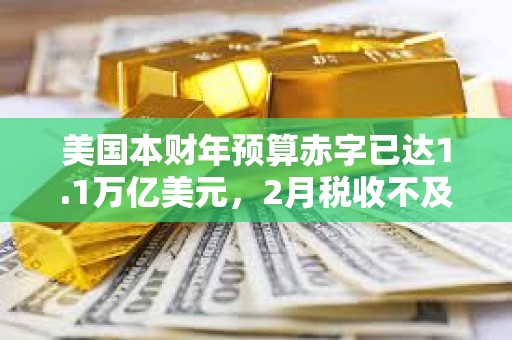 美国本财年预算赤字已达1.1万亿美元，2月税收不及支出一半