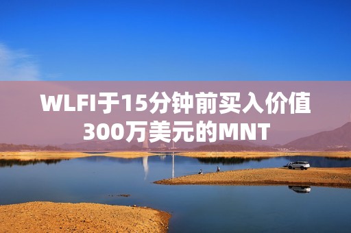 WLFI于15分钟前买入价值300万美元的MNT