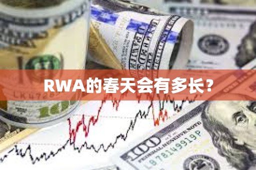 RWA的春天会有多长？