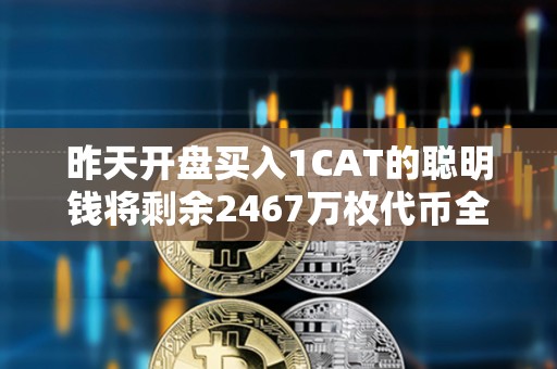 昨天开盘买入1CAT的聪明钱将剩余2467万枚代币全部质押