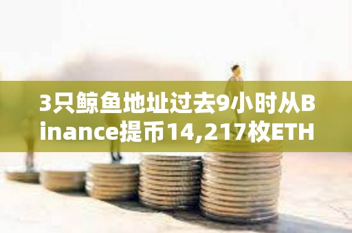 3只鲸鱼地址过去9小时从Binance提币14,217枚ETH，或正通过Aave做多ETH