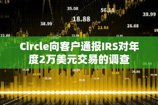 Circle向客户通报IRS对年度2万美元交易的调查