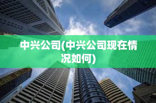 中兴公司(中兴公司现在情况如何)