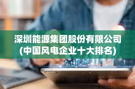 深圳能源集团股份有限公司(中国风电企业十大排名)