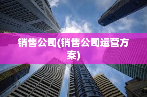 销售公司(销售公司运营方案)