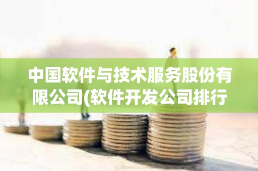 中国软件与技术服务股份有限公司(软件开发公司排行榜)