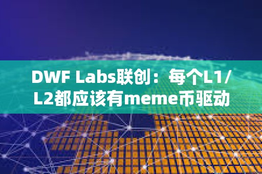 DWF Labs联创：每个L1/L2都应该有meme币驱动用户参与