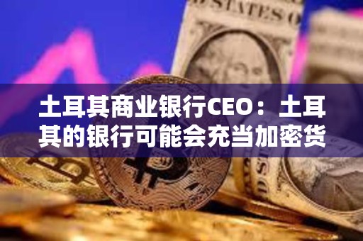 土耳其商业银行CEO：土耳其的银行可能会充当加密货币托管人