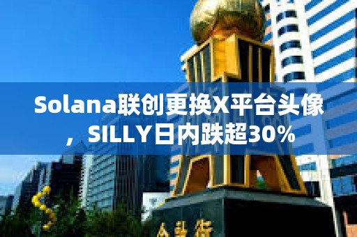 Solana联创更换X平台头像，SILLY日内跌超30%