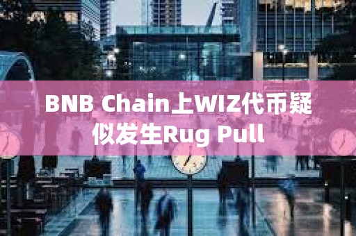 BNB Chain上WIZ代币疑似发生Rug Pull