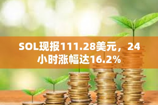 SOL现报111.28美元，24小时涨幅达16.2%