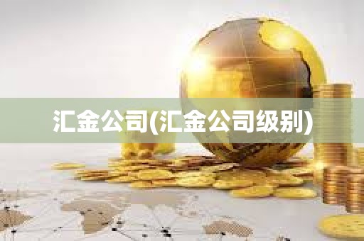 汇金公司(汇金公司级别)