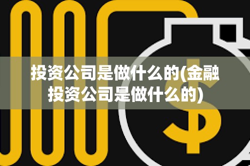 投资公司是做什么的(金融投资公司是做什么的)