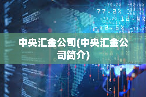 中央汇金公司(中央汇金公司简介)