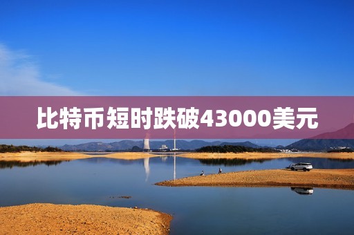 比特币短时跌破43000美元