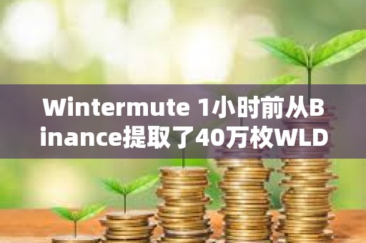 Wintermute 1小时前从Binance提取了40万枚WLD