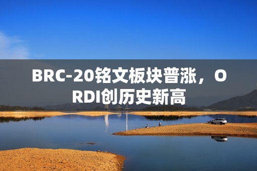 BRC-20铭文板块普涨，ORDI创历史新高