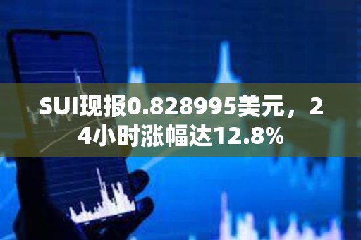 SUI现报0.828995美元，24小时涨幅达12.8%