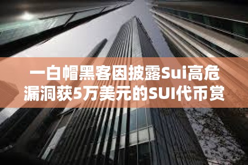 一白帽黑客因披露Sui高危漏洞获5万美元的SUI代币赏金