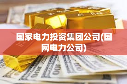 国家电力投资集团公司(国网电力公司)