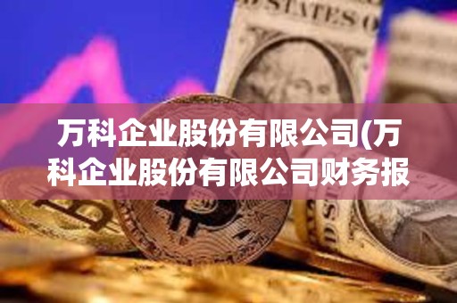 万科企业股份有限公司(万科企业股份有限公司财务报表分析)