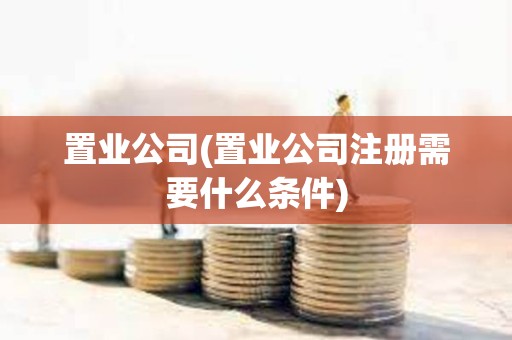 置业公司(置业公司注册需要什么条件)