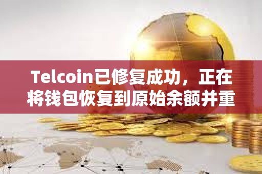 Telcoin已修复成功，正在将钱包恢复到原始余额并重新启用服务