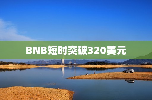 BNB短时突破320美元