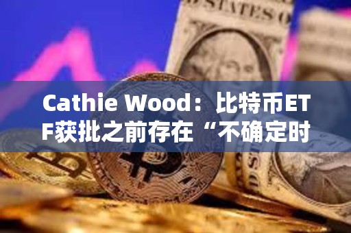 Cathie Wood：比特币ETF获批之前存在“不确定时刻”