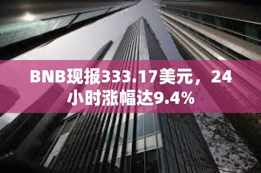 BNB现报333.17美元，24小时涨幅达9.4%