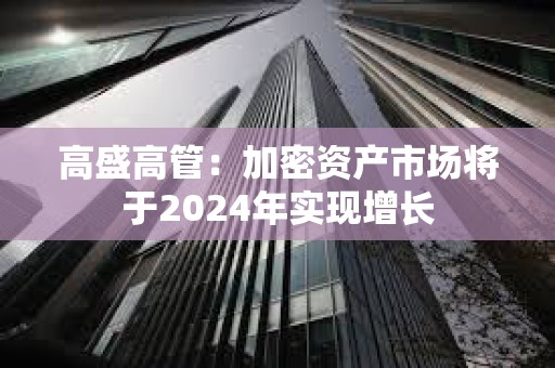 高盛高管：加密资产市场将于2024年实现增长