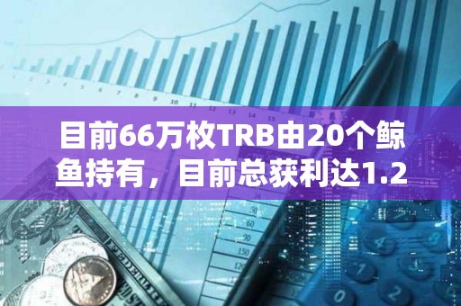 目前66万枚TRB由20个鲸鱼持有，目前总获利达1.2亿美元