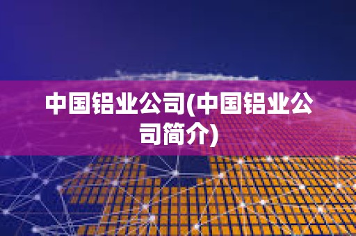 中国铝业公司(中国铝业公司简介)