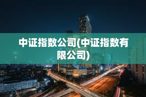 中证指数公司(中证指数有限公司)