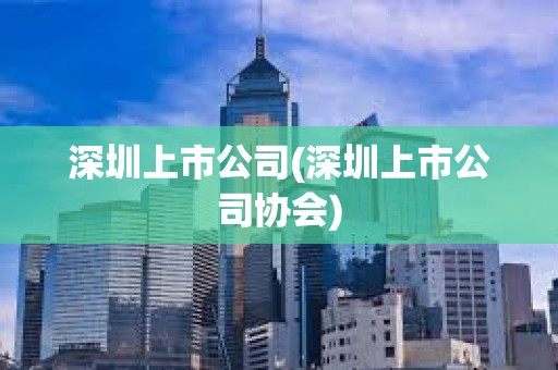 深圳上市公司(深圳上市公司协会)