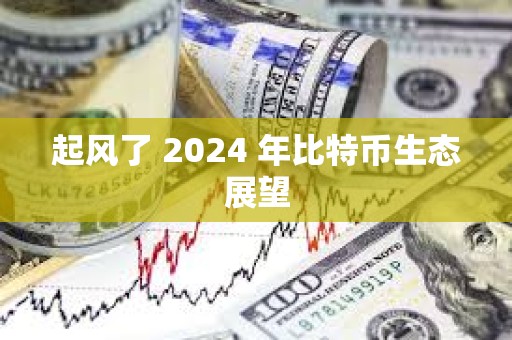 起风了 2024 年比特币生态展望