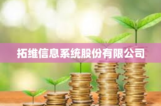 拓维信息系统股份有限公司