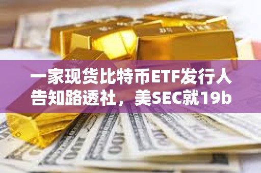 一家现货比特币ETF发行人告知路透社，美SEC就19b-4规则变更投票拟定于1月10日