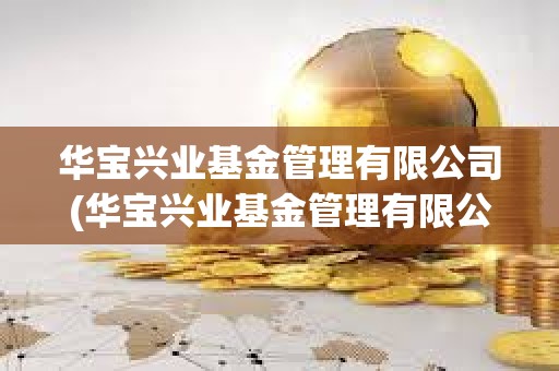 华宝兴业基金管理有限公司(华宝兴业基金管理有限公司官网)