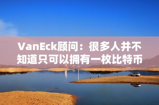 VanEck顾问：很多人并不知道只可以拥有一枚比特币的一小部分