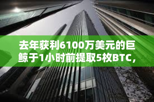 去年获利6100万美元的巨鲸于1小时前提取5枚BTC，或作为测试交易