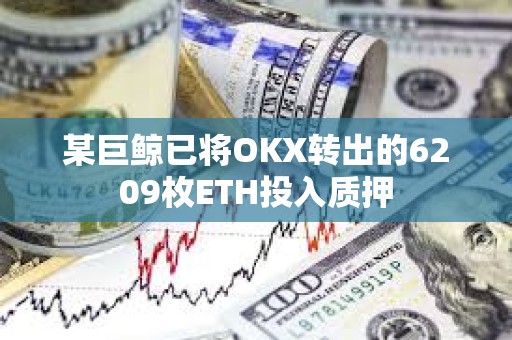 某巨鲸已将OKX转出的6209枚ETH投入质押