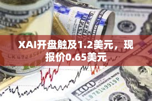 XAI开盘触及1.2美元，现报价0.65美元