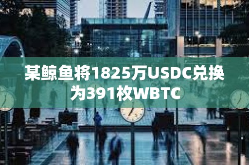 某鲸鱼将1825万USDC兑换为391枚WBTC