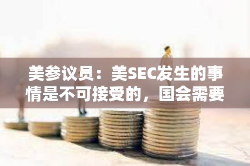 美参议员：美SEC发生的事情是不可接受的，国会需要答案