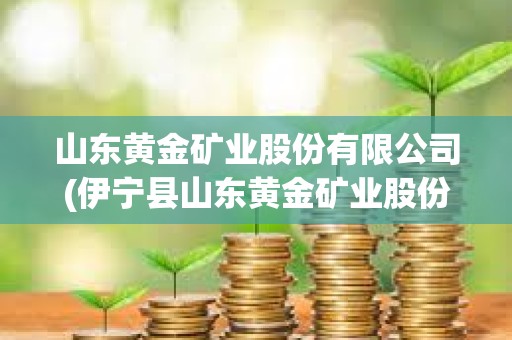 山东黄金矿业股份有限公司(伊宁县山东黄金矿业股份有限公司)