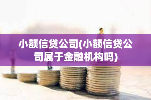 小额信贷公司(小额信贷公司属于金融机构吗)