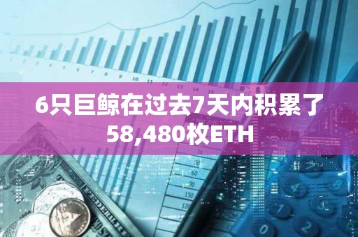 6只巨鲸在过去7天内积累了58,480枚ETH