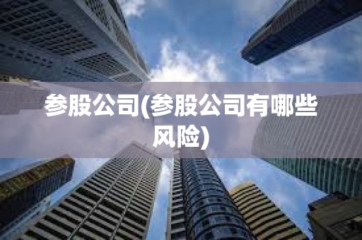 参股公司(参股公司有哪些风险)