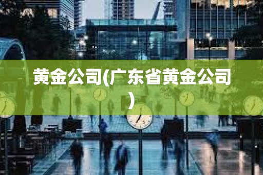 黄金公司(广东省黄金公司)